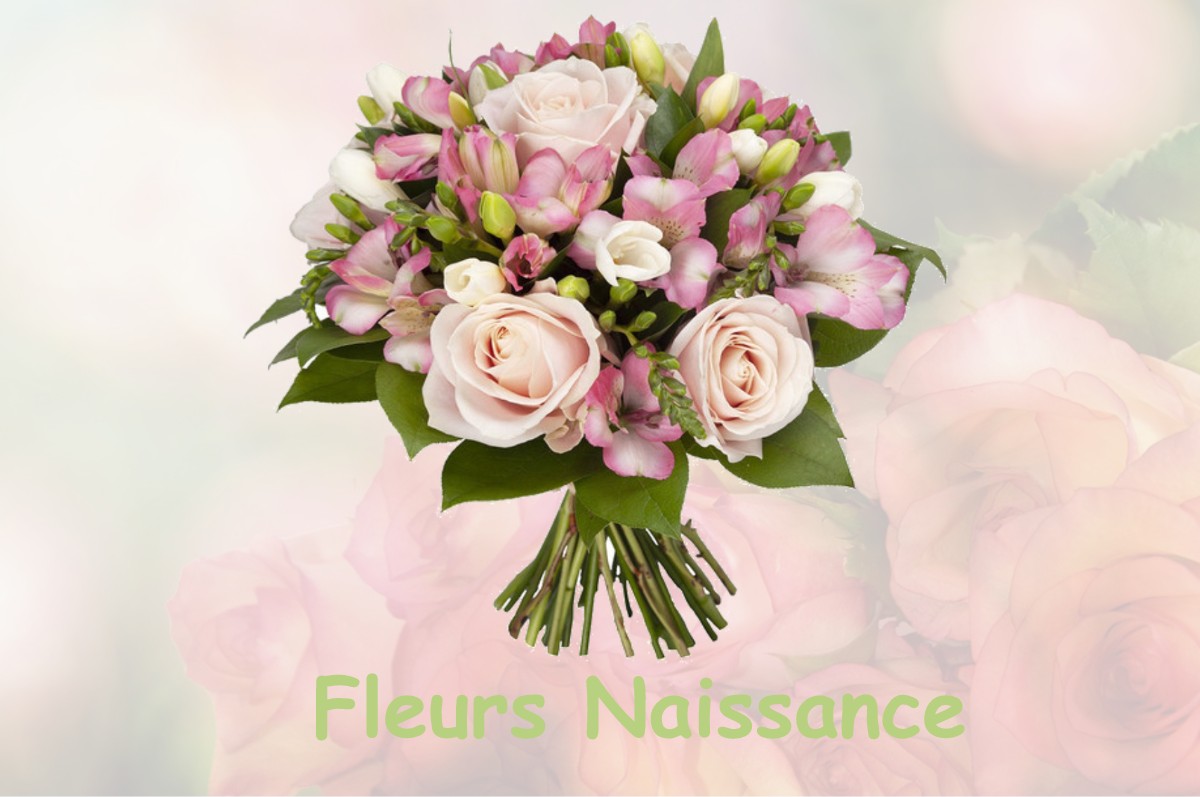 fleurs naissance GERMIGNY-SOUS-COULOMBS